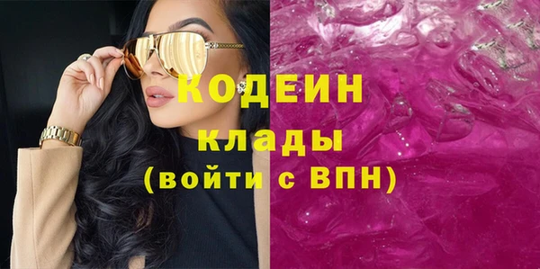 гидра Вязьма