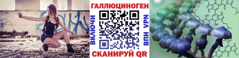 darknet наркотические препараты  Сухой Лог  Галлюциногенные грибы Psilocybine cubensis  купить закладку 
